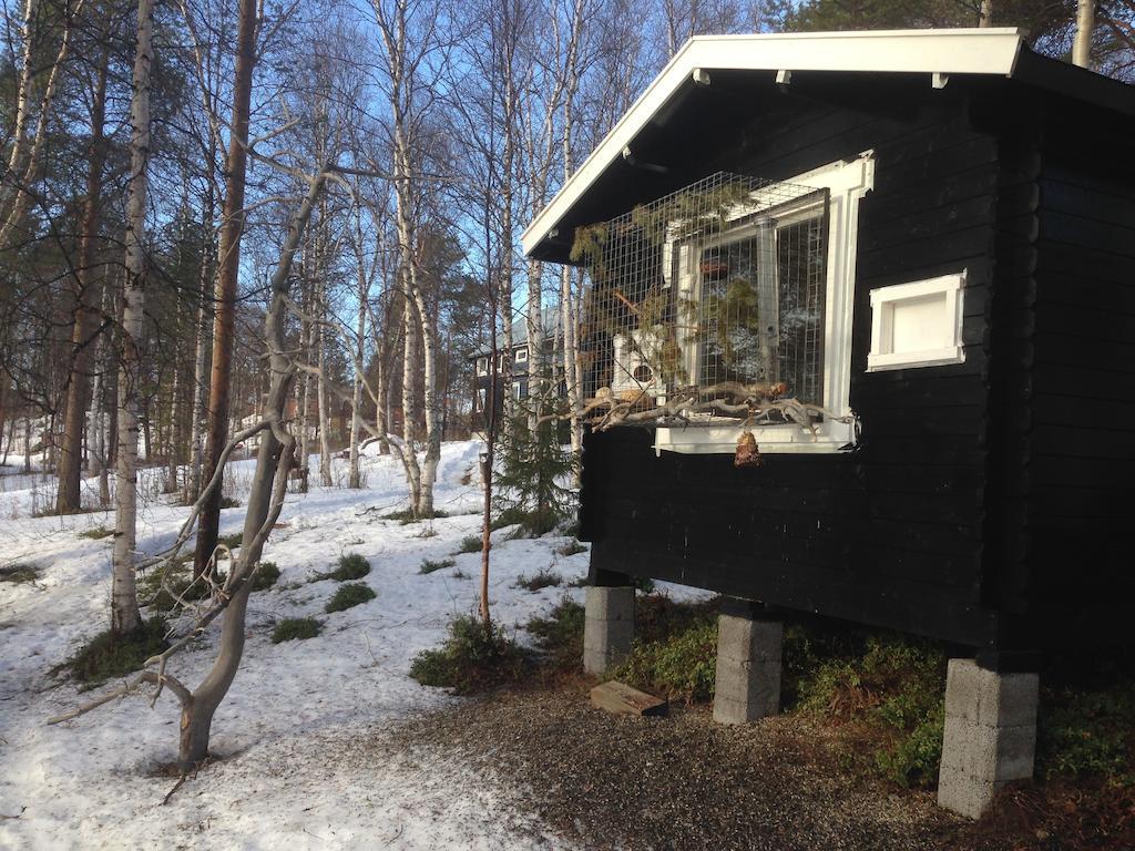 Birk Husky - Guesthouse & Cabins Svanvik Eksteriør bilde