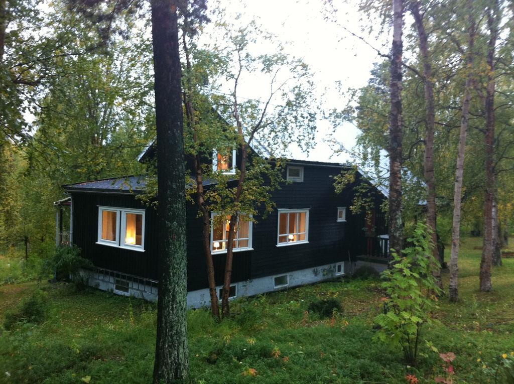 Birk Husky - Guesthouse & Cabins Svanvik Rom bilde